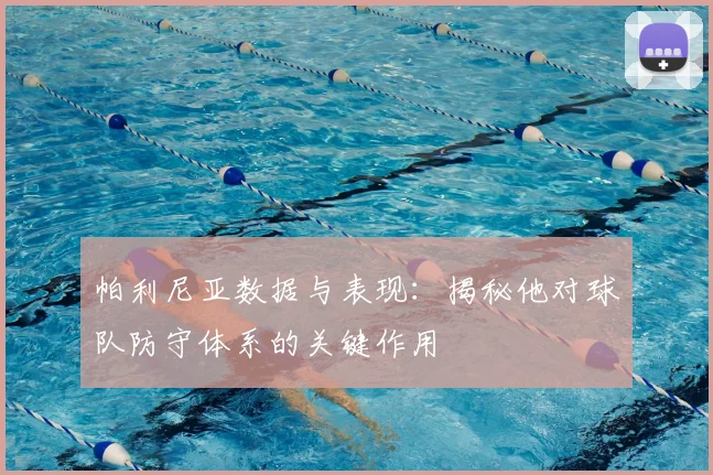 帕利尼亚数据与表现：揭秘他对球队防守体系的关键作用