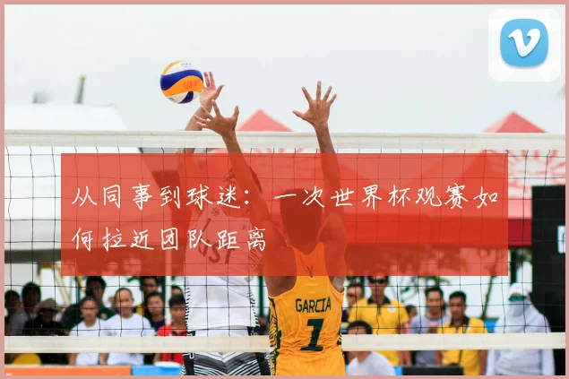 从同事到球迷:一次世界杯观赛如何拉近团队距离