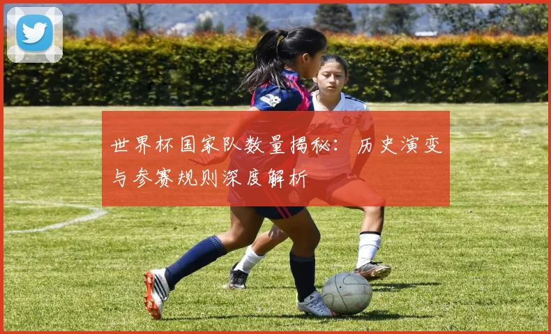 世界杯国家队数量揭秘：历史演变与参赛规则深度解析