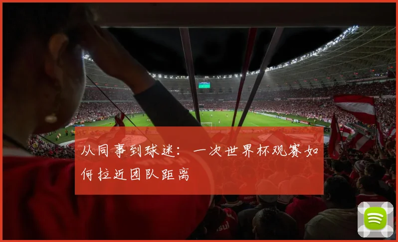 从同事到球迷:一次世界杯观赛如何拉近团队距离