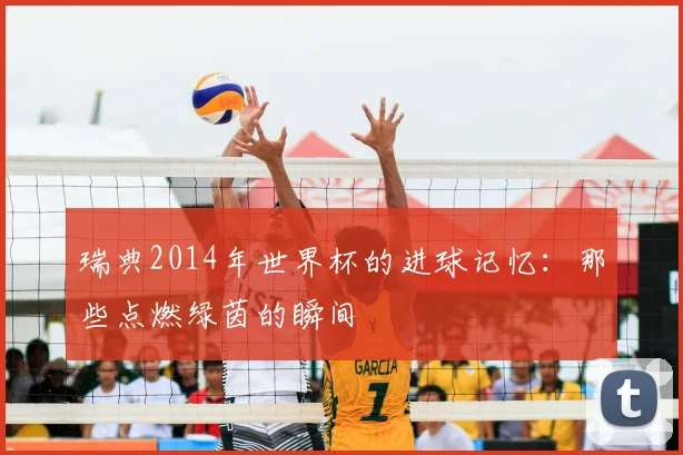 瑞典2014年世界杯的进球记忆：那些点燃绿茵的瞬间