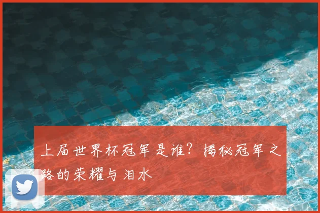 上届世界杯冠军是谁?揭秘冠军之路的荣耀与泪水