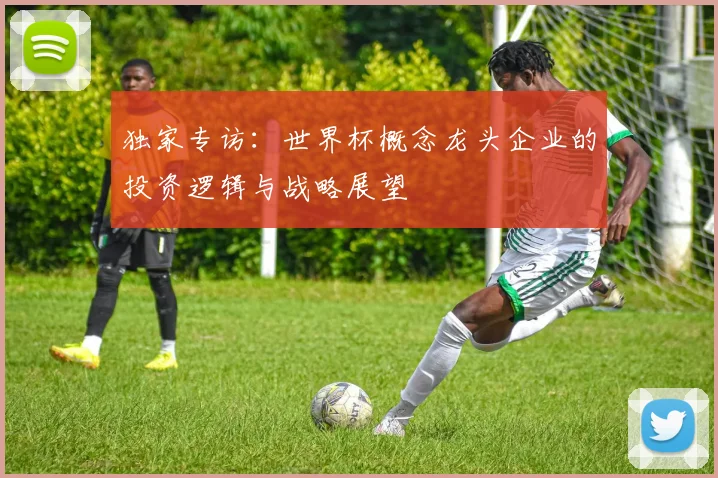 独家专访：世界杯概念龙头企业的投资逻辑与战略展望